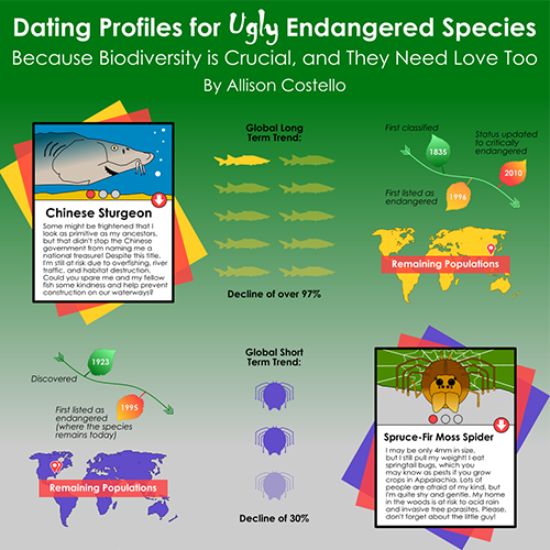 Header of an infographic with drawn images of a Chinese sturgeon and a spruce-fir moss spider